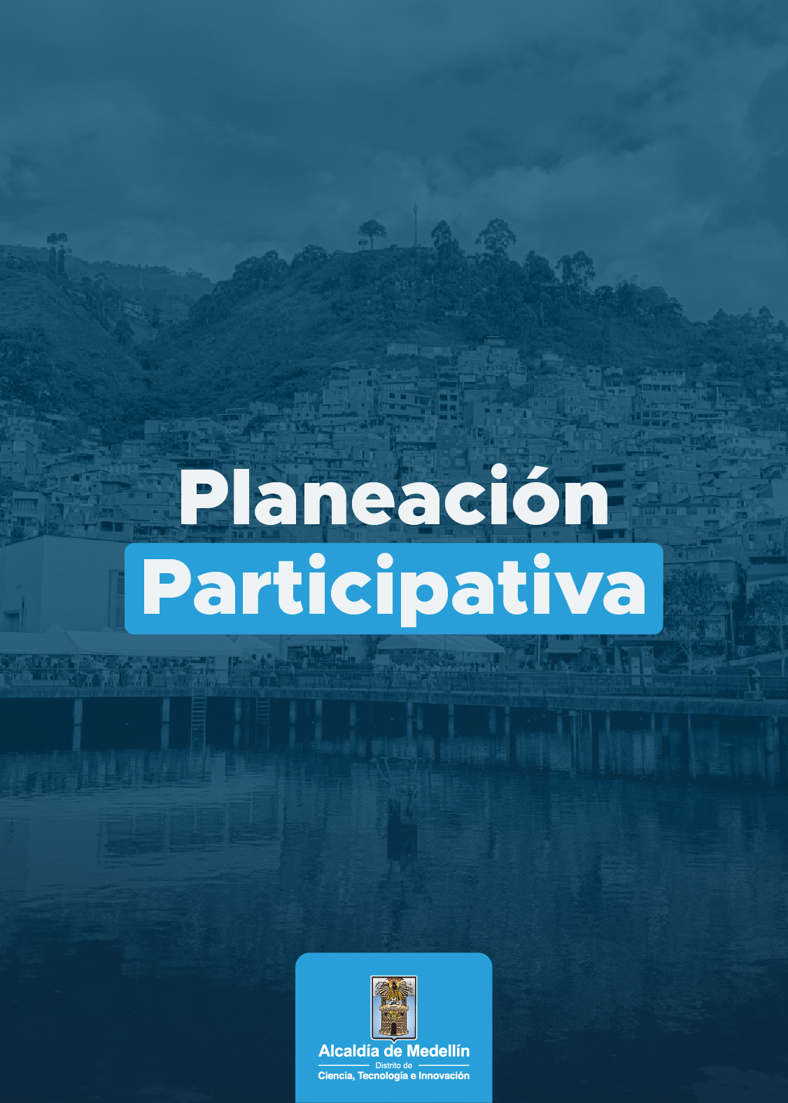 Previsualizacion del PDF de Planeación participativa